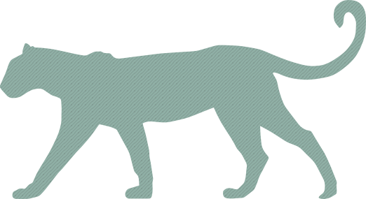 Leopard silhouette